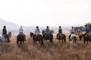 horseback ride