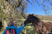 Hiking and horse