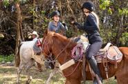 horseback excursion