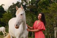 Time with Horses