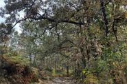 Peneda-Gerês Park