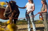 Equine Therapy experience
