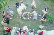 Horse Farm