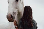 time with the horses
