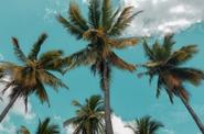 Bentota