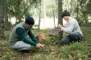 forest nature walk