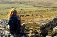 Yoga and hiking
