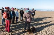 coastal walk