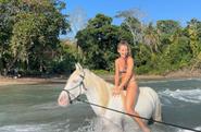 swimming with horses