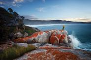 Bay of Fires