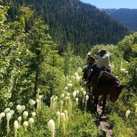 Riding in the mountains 