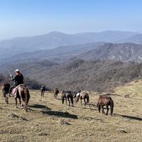 Caucasus Horse Riding