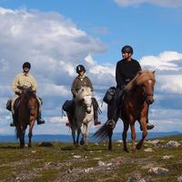 Sweden Riding