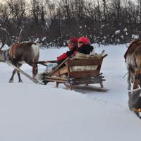 Lapland Travel