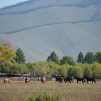 Terelj National Park