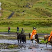 Iceland Horse Riding