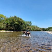 Panama Horse Riding