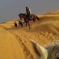 Tunisia Horse Riding