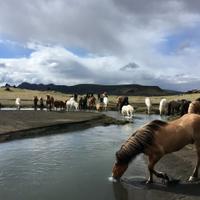 Southern Iceland