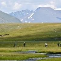 Altai mountains 