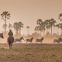 Botswana Riding