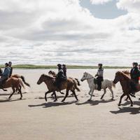 Iceland Horse Riding