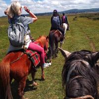 Ethiopia Horse Riding