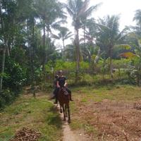 Indonesia Horse Riding