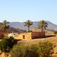 Local landscape 