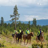 Riding experience