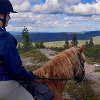 Horse riding across a field 