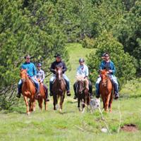 Slovenia Horse Riding