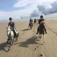Denmark Horse Riding