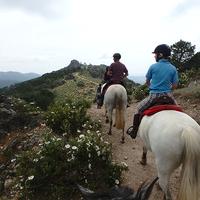 Spain Horse Riding