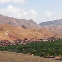 Local landscape 