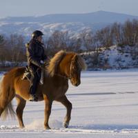 Sweden Riding