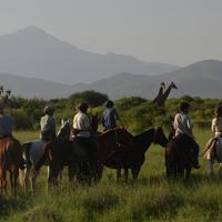 Tanzania Horse Safari