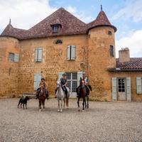 D’Artagnan European Road