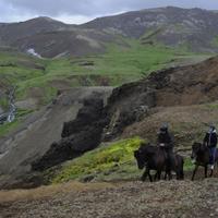 Iceland Horse Riding