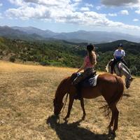Hills of Umbria