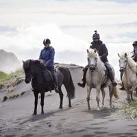 Iceland Horseriding