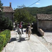 Horse riding in Umbria