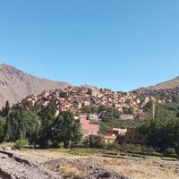Local landscapes 
