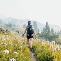 On the trek 