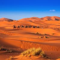 Sahara Desert