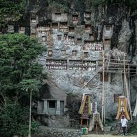 Local landscape 