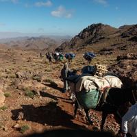 On the trek 