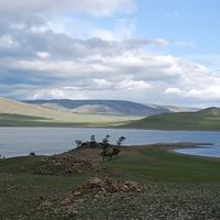 Local landscape 