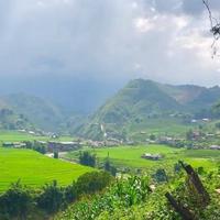 Local landscape 