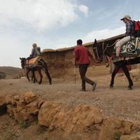 On the trek 